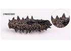 冬至到，食補(bǔ)養(yǎng)生還需煙臺(tái)海參