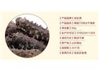 海參的清淡吃法都有那些？
